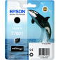 Epson T7601 Cartouche Noir photo Originale