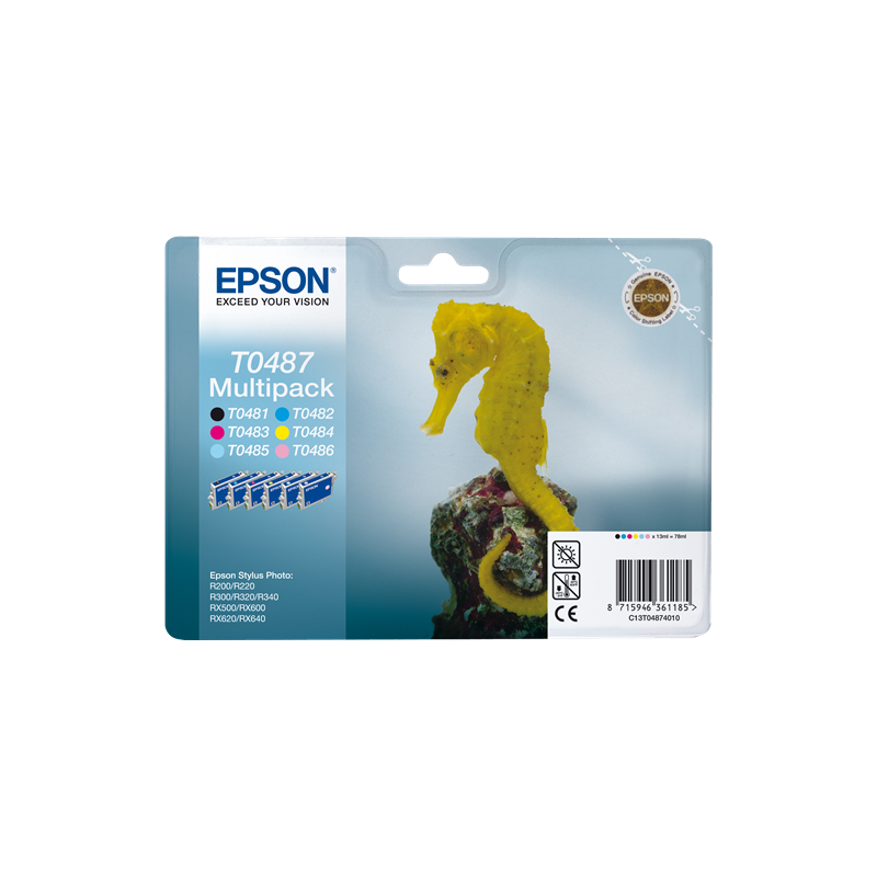 Epson T0487 Multipack 6 Couleurs Original