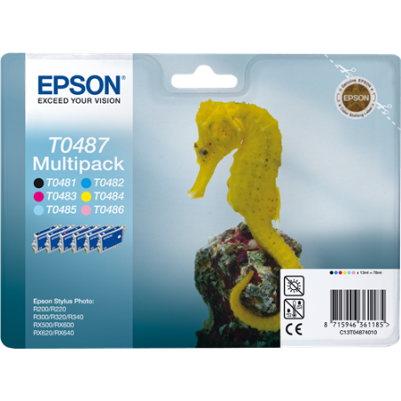 Epson T0487 Multipack 6 Couleurs Original 