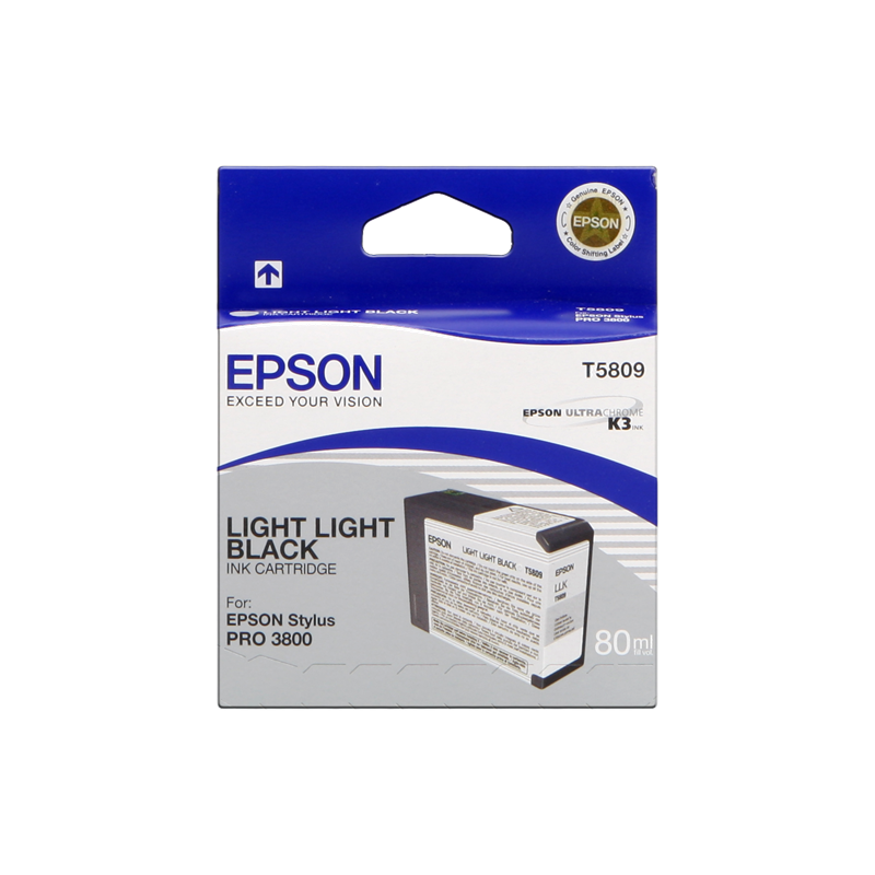 Epson T5809 Cartouche Gris clair Originale