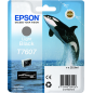 Epson T7607 Cartouche Gris Originale