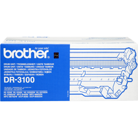 Brother DR-3100 Tambour Original 