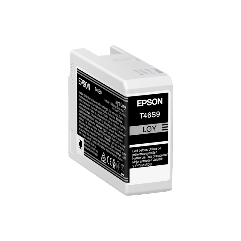Epson T46S9 Cartouche Gris clair Originale