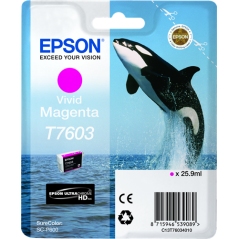 Epson T7603 Cartouche Magenta Originale 