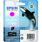 Epson T7603 Cartouche Magenta Originale
