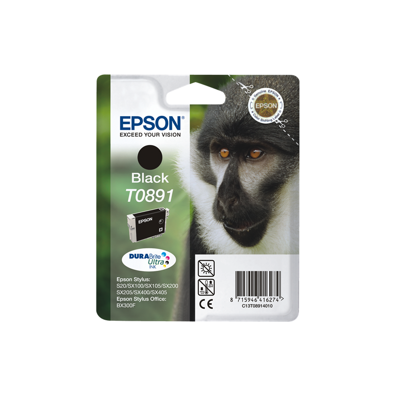 Epson T0891 Cartouche Noir Originale