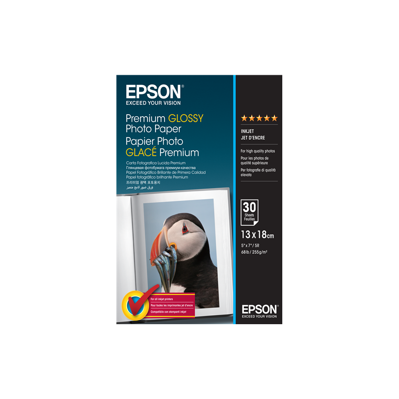 Epson C13S042154 Papier photo Brillant 13 x 18 cm 255g 30 feuilles