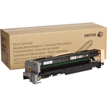 Xerox 113R00779 Tambour Noir Original 