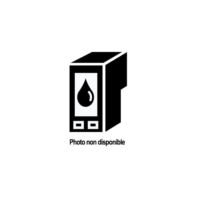 Epson PJIC6 Cartouche Noir Originale