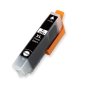 Epson 33XL Cartouche Noir Photo Compatible