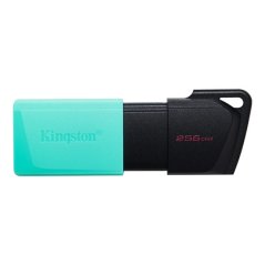 Clé USB Kingston Datatraveler Exodia M 256Go
