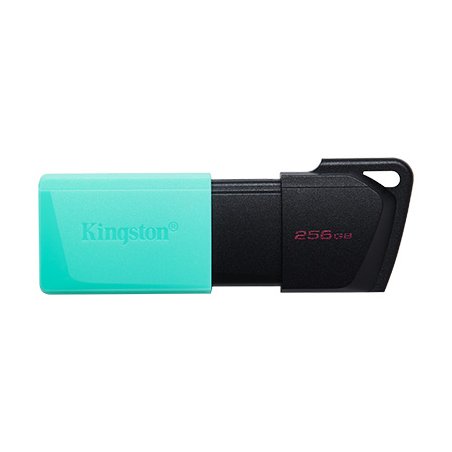 Clé USB Kingston Datatraveler Exodia M 256Go